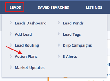 caa_action_plan