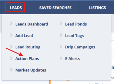 caa_action_plan