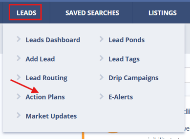 caa_action_plan