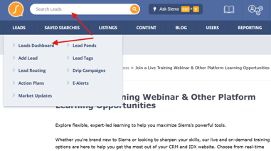 lead detail page overview